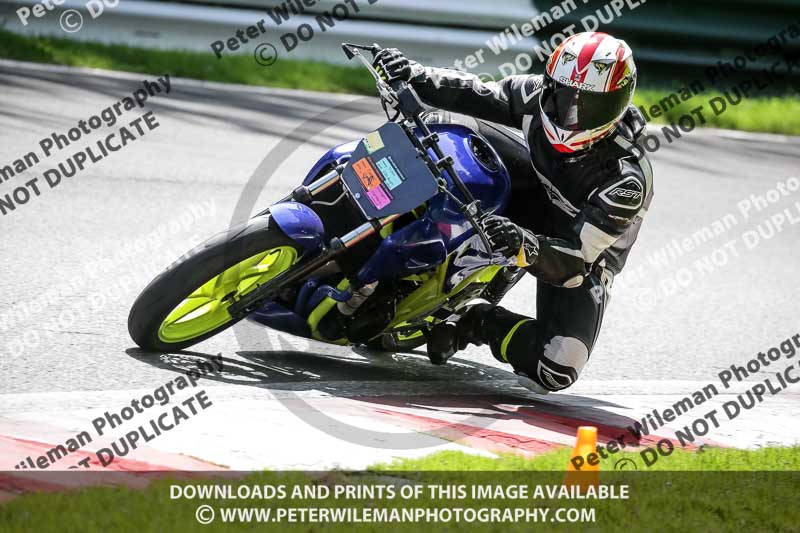 cadwell no limits trackday;cadwell park;cadwell park photographs;cadwell trackday photographs;enduro digital images;event digital images;eventdigitalimages;no limits trackdays;peter wileman photography;racing digital images;trackday digital images;trackday photos